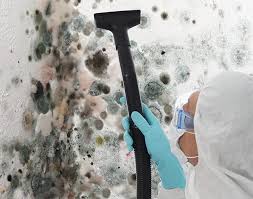 Best Attic Mold Removal  in Knightsen, CA